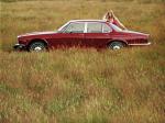 Jaguar XJ6 (Series II) 1973 года (US)